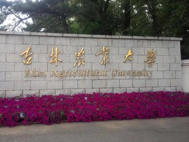 吉林农大成人学位证 报考条件与规划